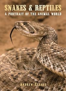 Snakes & reptiles : a portrait of the animal world