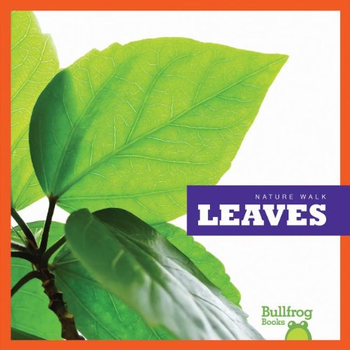 Leaves by Rebecca Stromstad Glaser