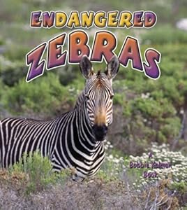 Endangered Zebras