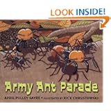 Army Ant Parade