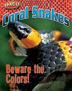 Coral Snakes: Beware the Colors!