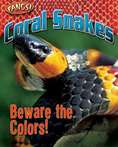 Coral Snakes: Beware the Colors! by Nancy White