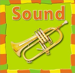 Sound (Bridgestone Science Library Our Physical World)