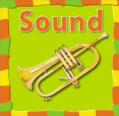 Sound (Bridgestone Science Library Our Physical World)