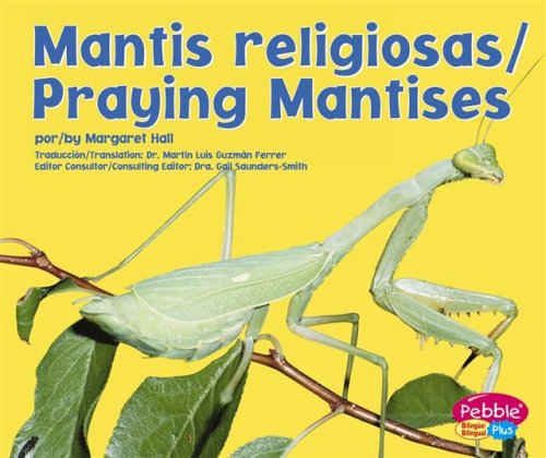 Praying Mantises (Pebble Plus: Bugs, Bugs, Bugs!) by Gail Saunders-Smith