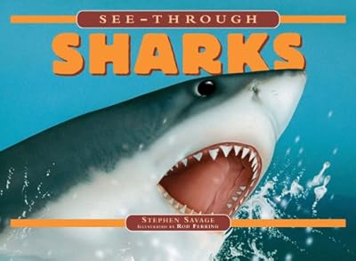 See-Through Sharks