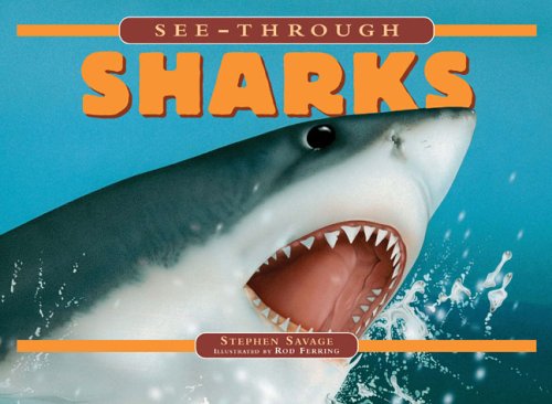 See-Through Sharks by Stephen Savage