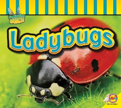 Ladybugs