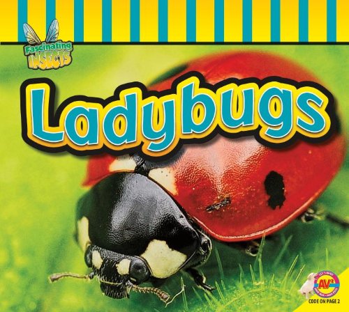 Ladybugs by Aaron Carr