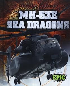 MH-53E Sea Dragons