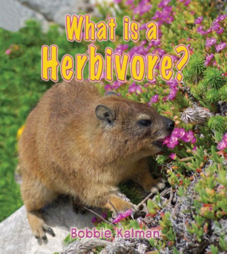 What Is a Herbivore? (Big Science Ideas) by Bobbie Kalman