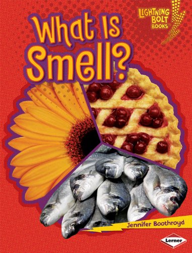 What Is Smell? by Jennifer Boothroyd