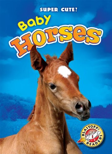 Baby Horses by Bethany Olson