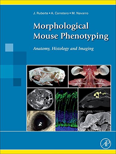 Algopix Similar Product 3 - Morphological Mouse Phenotyping