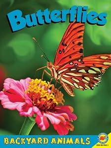 Butterflies with Code