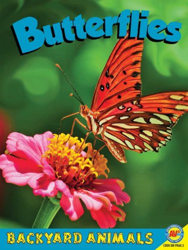 Butterflies with Code by Jennifer Hurtig
