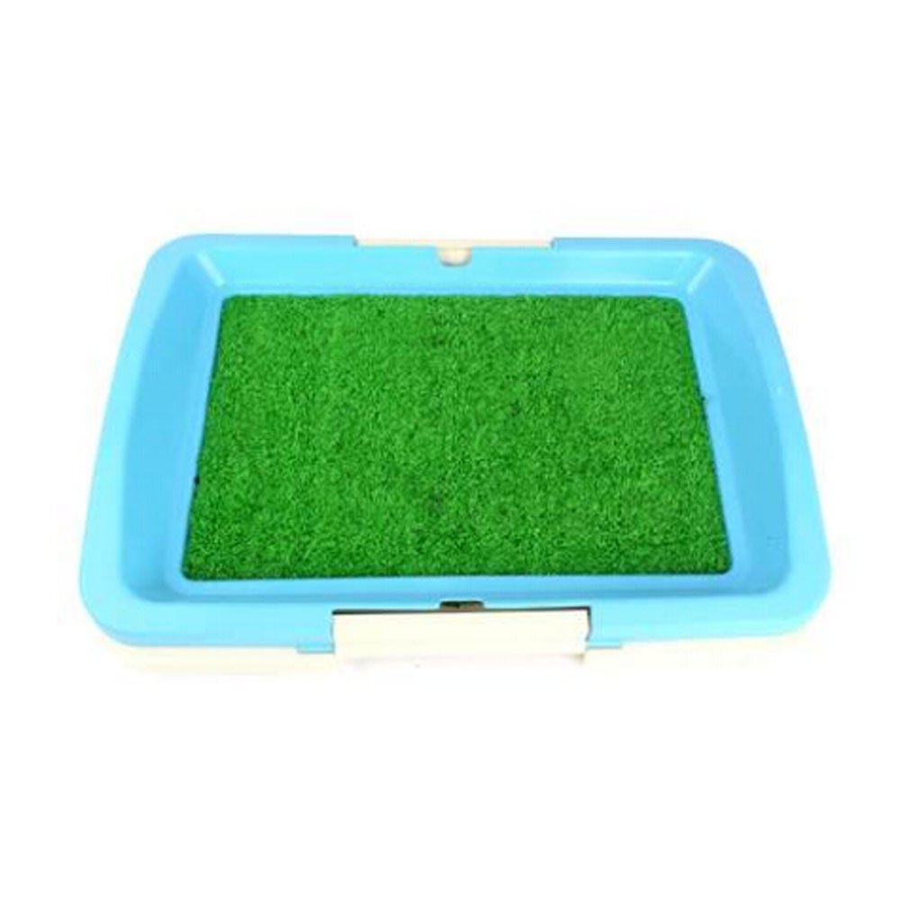 

High-quality Pet Supplies & Indoor Pet Grass Potty Dog Toilet (18"*13"*2"),BLUE