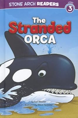 The Stranded Orca