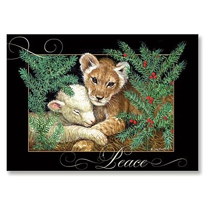 Abbey Press Lion and Lamb Christmas Cards - Greetings Paper Gift Wrap 53342T-ABBEY
