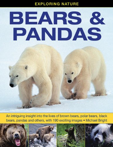 Exploring Nature: Bears &amp; Pandas: An Intriguing Insight Into The Lives Of Brown Bears, Polar Bears, Black Bears, Pandas And Others, With 190 Exciting Images. by Michael Bright