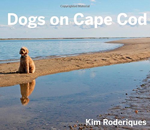 Dogs On Cape Cod by Kim Roderiques