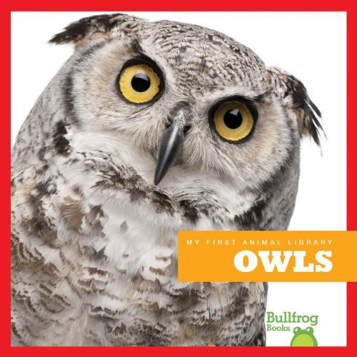 Owls by Martha E. H. Rustad