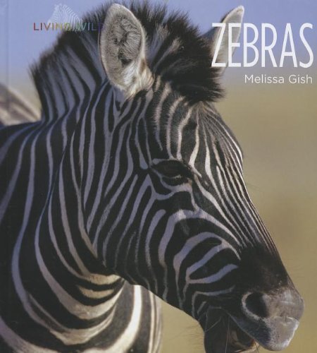 Zebras by Melissa Gish