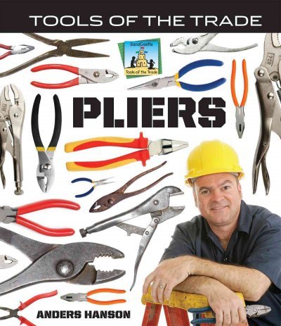 Pliers by Anders Hanson