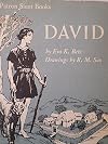 David (A Patron Saint Book)