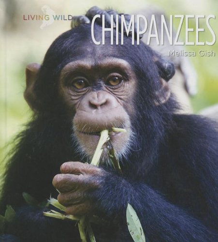 Chimpanzees by Melissa Gish