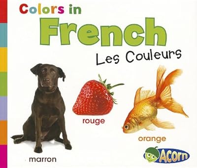 Colors in French: Les Couleurs