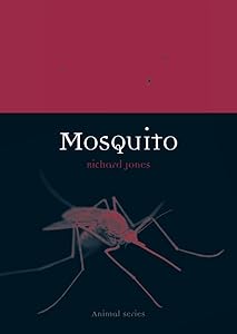 Mosquito (Animal)