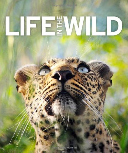 Life In The Wild by DK Publishing