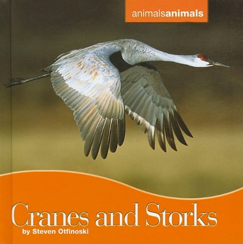 Cranes and Storks by Steven Otfinoski