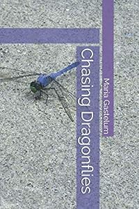 Chasing Dragonflies by Maria Gastelum