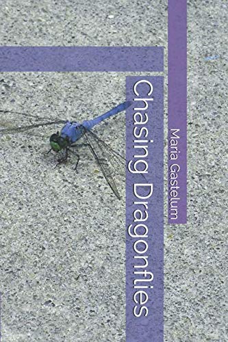 Chasing Dragonflies by Maria Gastelum