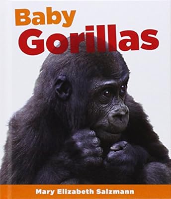 Baby Gorillas
