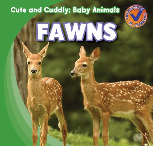 Fawns by Katie Kawa