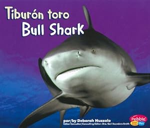 Tiburón toro/Bull Shark