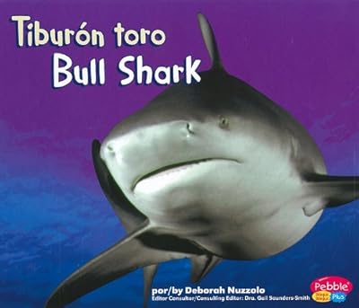 Tiburón toro/Bull Shark