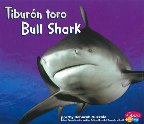 Tiburón toro/Bull Shark by Deborah Nuzzolo