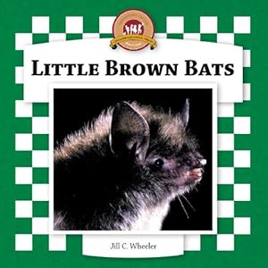 Little Brown Bats (Bats Set II) by Jill C. Wheeler