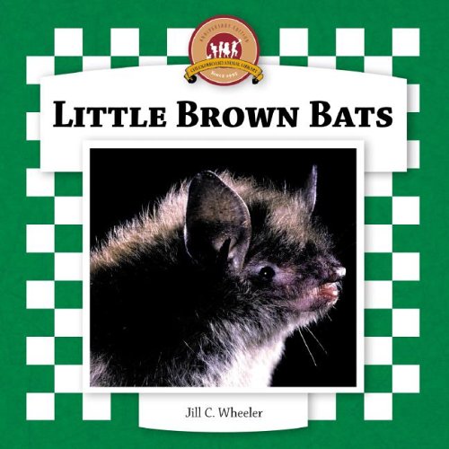 Little Brown Bats (Bats Set II) by Jill C. Wheeler