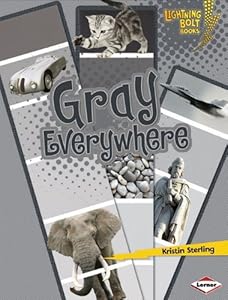 Gray Everywhere