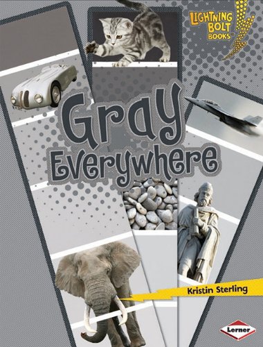 Gray Everywhere by Kristin Sterling