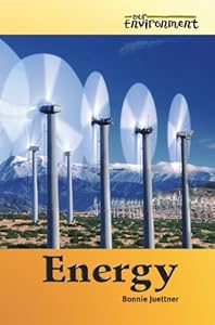 Energy (Our Environment) by Bonnie Juettner
