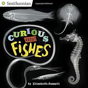 Curious About Fishes by Elizabeth Bennett