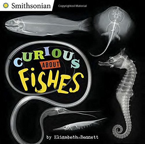 Curious About Fishes by Elizabeth Bennett