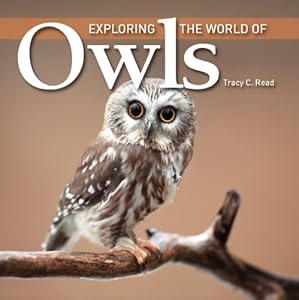 Exploring the World of Owls