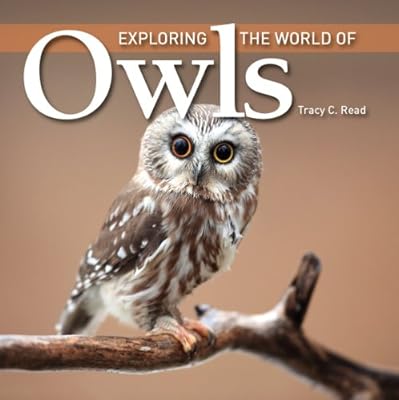 Exploring the World of Owls